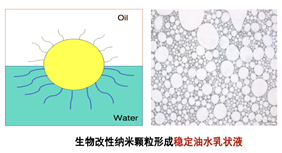图示AI 生成的内容可能不正确。
